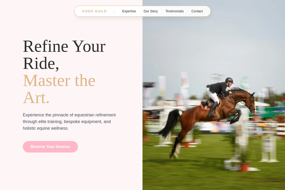Bridle Equestrian